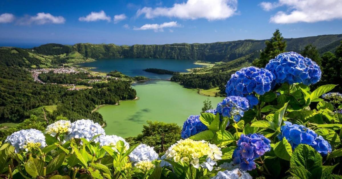 Barrocas Villas Azores São Roque Eksteriør billede